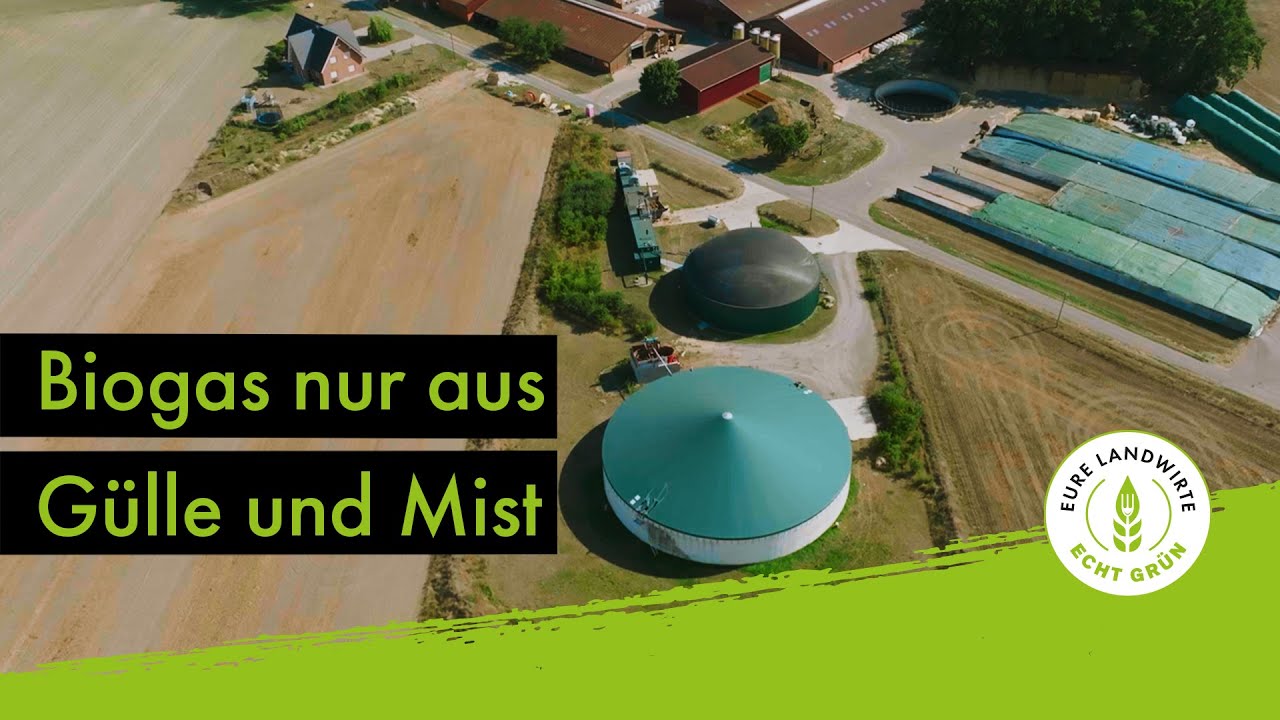 Biogas nur aus Gülle und Mist
